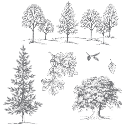 Lovely As A Tree Stamp Set